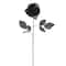 12 Pack: Black Open Rose Stem by Ashland™